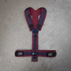 Anny-X Geschirr LE Fun Bordeaux / Blau XS, Hals 22 - 36 Cm / Brust 43 - 52 Cm