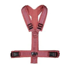 Anny-X Geschirr Fun Koralle-malve