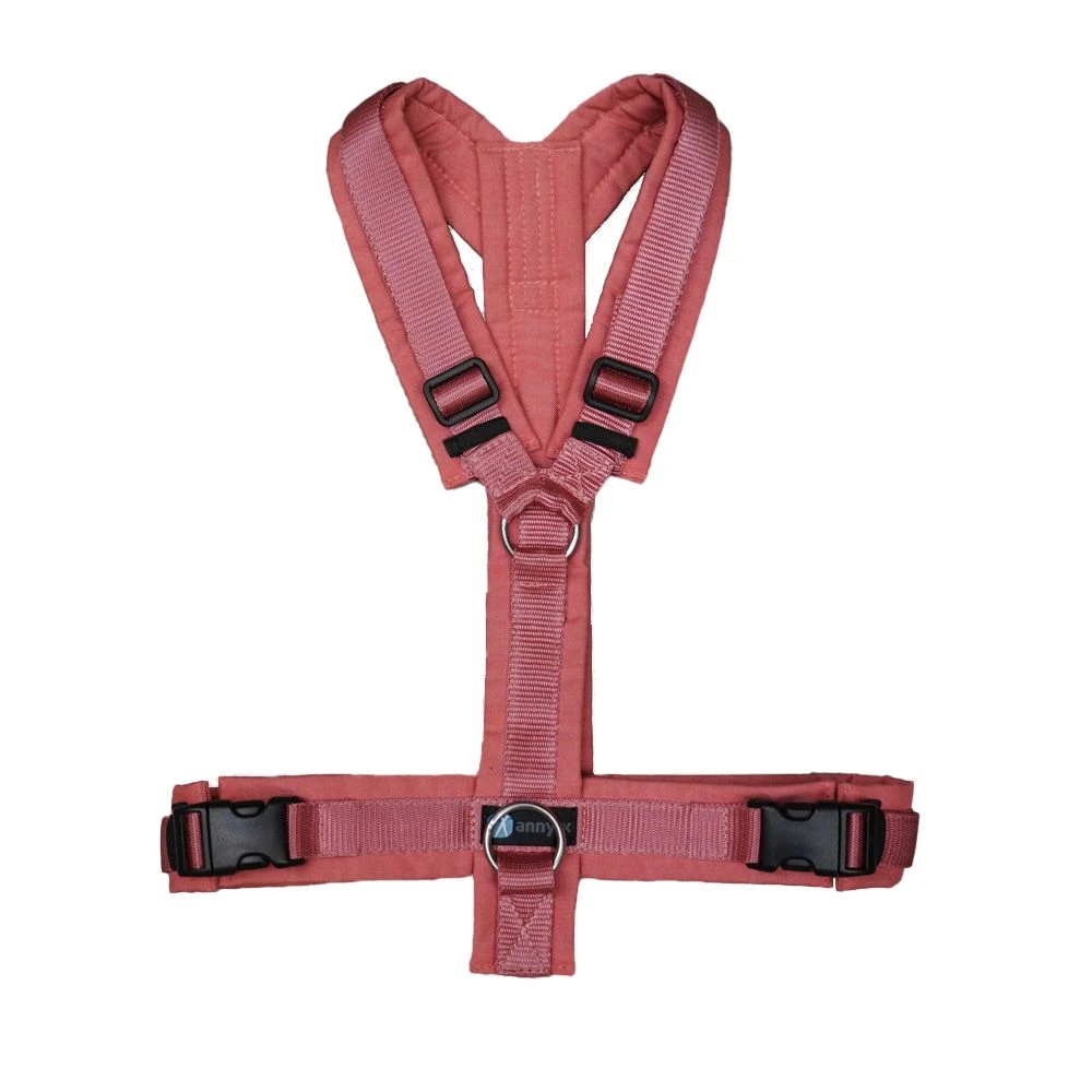 Anny-X Geschirr Fun Koralle-malve