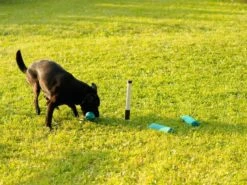 Mystique Markierstab Weiss/schwarz -Hundebedarf Verkauf ms101 7