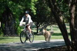 PetEgo Cycleash Fahrradleine -Hundebedarf Verkauf p1130 4