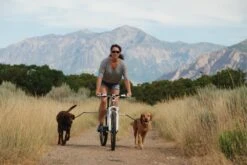 PetEgo Cycbar Zusatz-/Ersatzleine -Hundebedarf Verkauf p1131 3