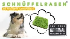 Knauder's Best Schnüffelrasen Grün/braun 60 X 60 Cm -Hundebedarf Verkauf x3H2HMqsEtE maxresdefault