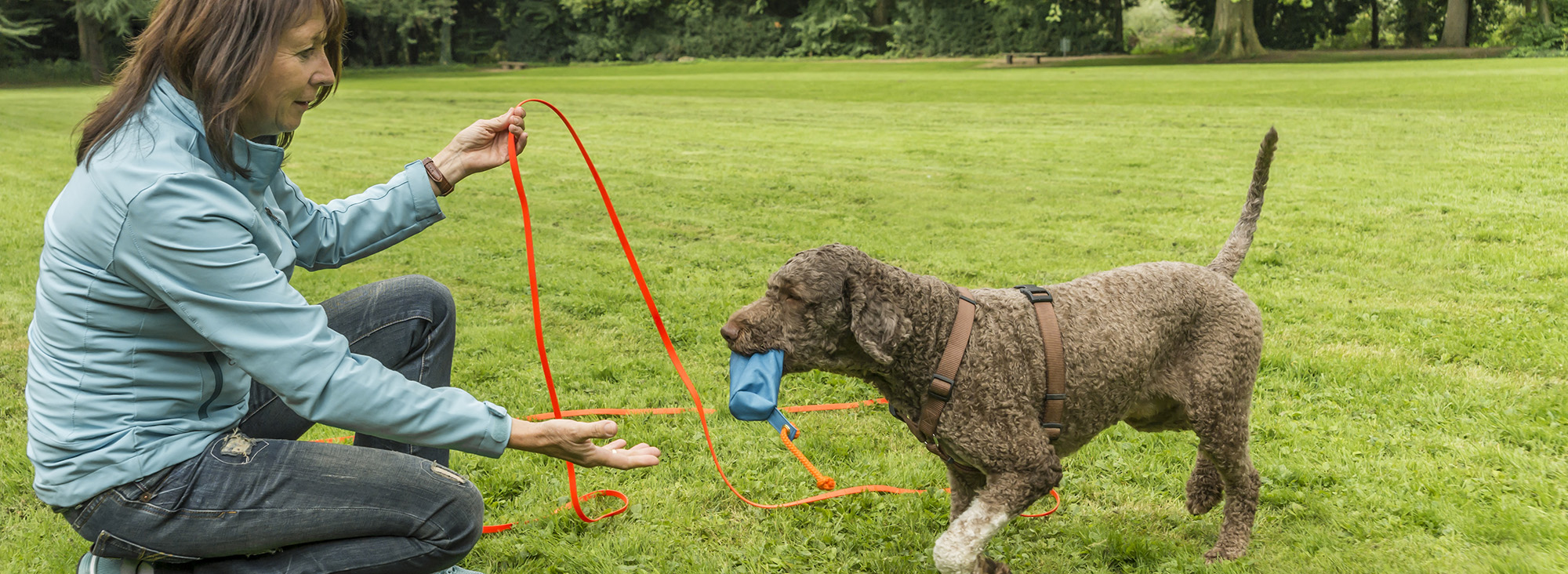 Hundebedarf Verkauf -Hundebedarf Verkauf 2